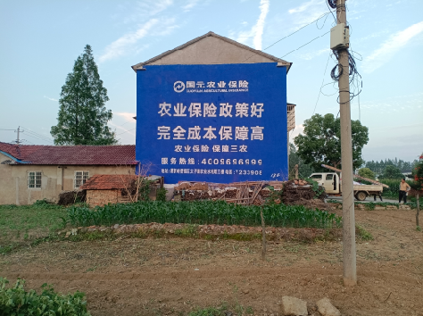 泗县墙体广告为何受追捧？